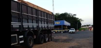 PRF apreende 22 toneladas de madeira com indícios de irregularidade em Rio Preto