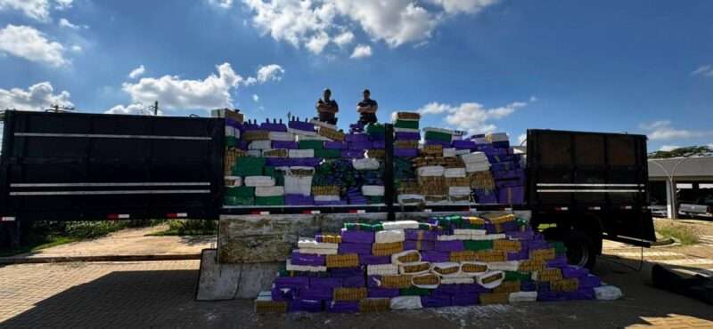 VEJA VÍDEO - Perseguição termina com apreensão de 24 toneladas de maconha em canavial na região