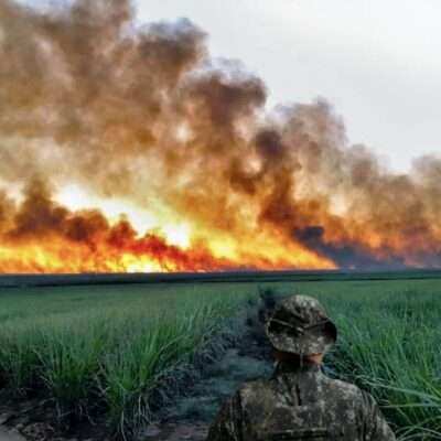 Polícia Militar Ambiental intensifica fiscalização contra queimadas em todo o Estado