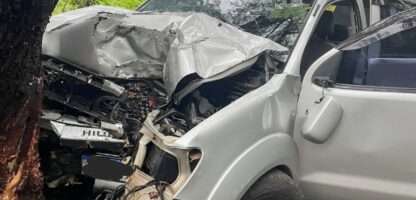 Motorista morre após caminhonete atingir árvore em avenida de Rio Preto
