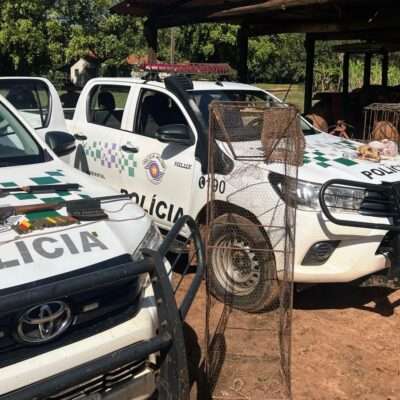 VEJA VÍDEO - Operação da Polícia Ambiental encontra armas, armadilhas e restos de onça-parda