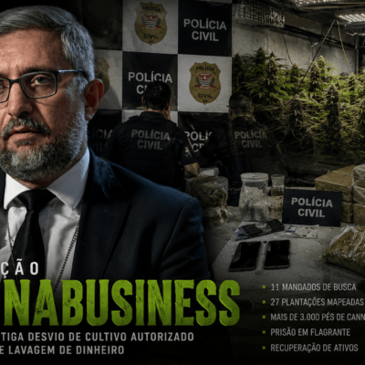 Polícia mapeia 27 plantações de cannabis e investiga suspeita de desvio de cultivo autorizado na região de Rio Preto