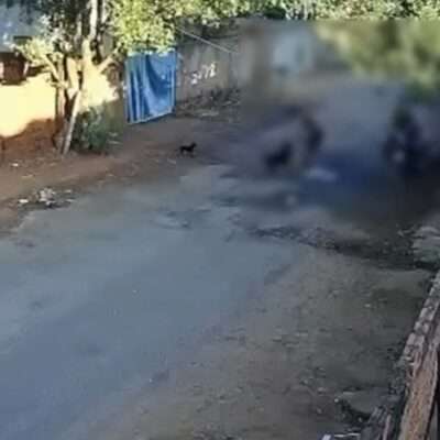 VEJA VÍDEO - Homem é preso após denúncia de agressão a cachorro em Rio Preto